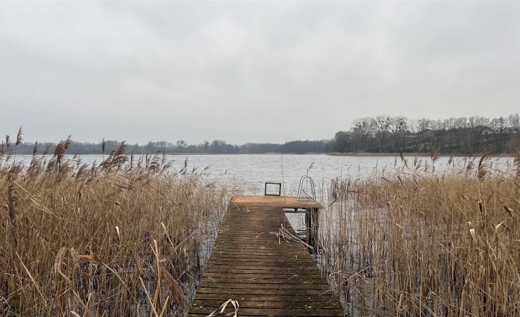 dom na sprzedaż - Brzuze, Żałe