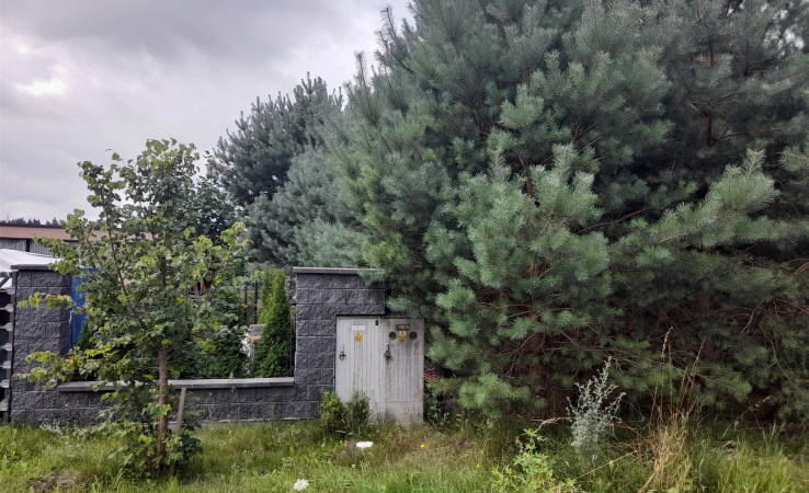 działka na sprzedaż - Białe Błota, Łochowo