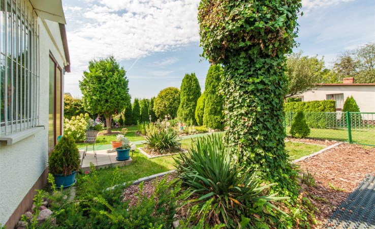 działka na sprzedaż - Białe Błota, Lisi Ogon