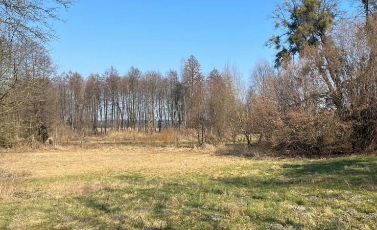 działka na sprzedaż - Świekatowo, Lipienica