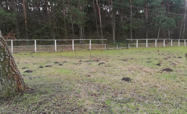 działka na sprzedaż - Nowa Wieś Wielka, Tarkowo Dolne