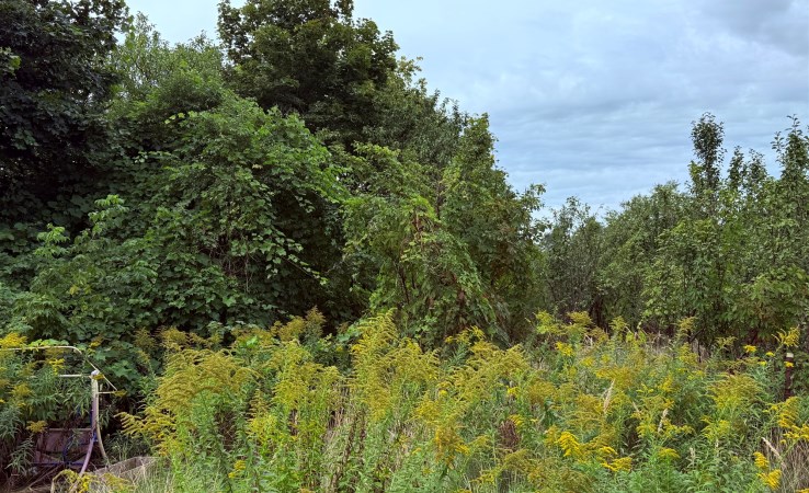 działka na sprzedaż - Bydgoszcz, Miedzyń