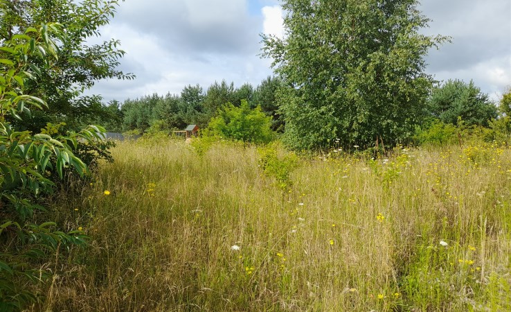 działka na sprzedaż - Białe Błota, Łochowo