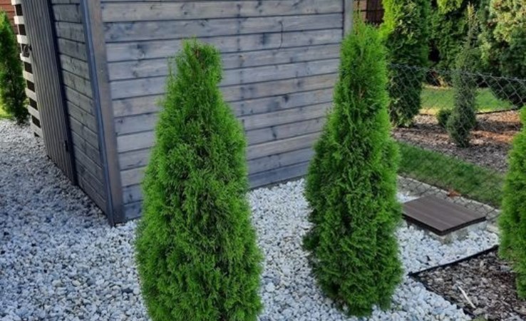 dom na sprzedaż - Bydgoszcz