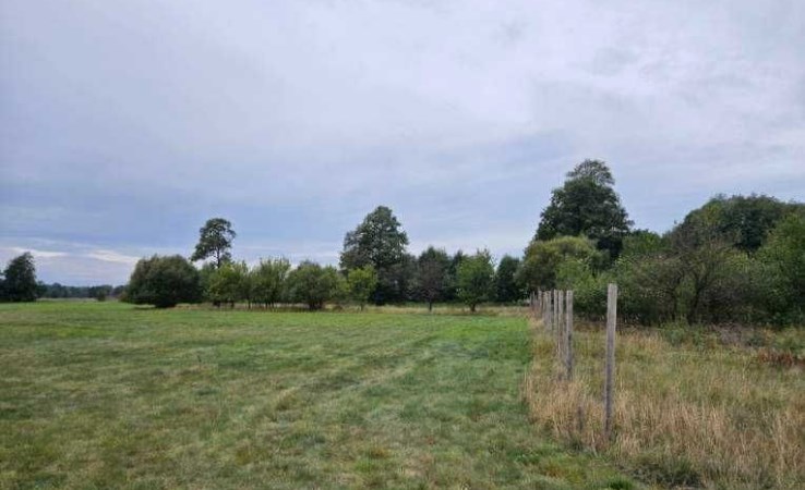 działka na sprzedaż - Nowa Wieś Wielka, Kobylarnia