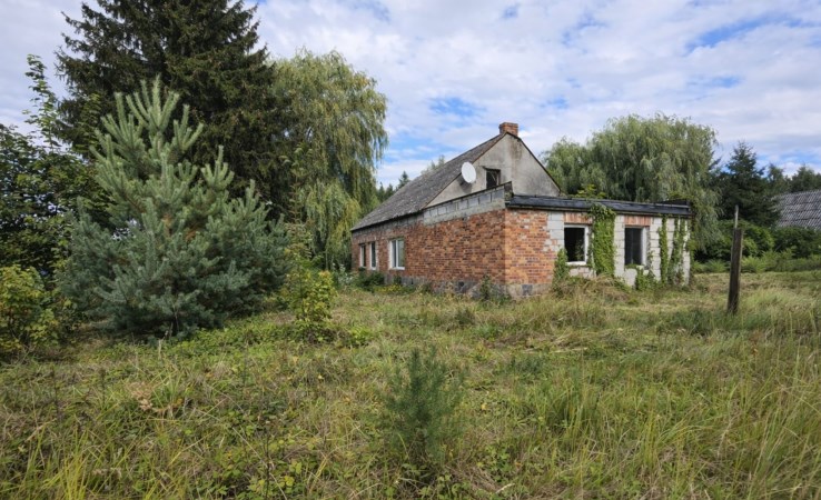 dom na sprzedaż - Świekatowo