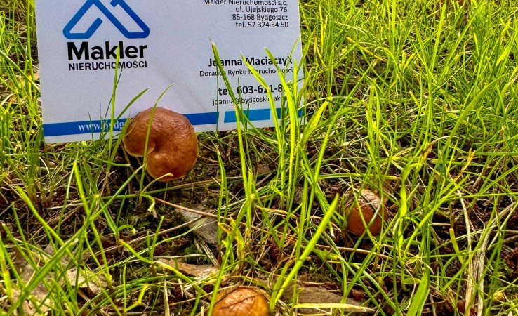 działka na sprzedaż - Bydgoszcz, Osowa Góra