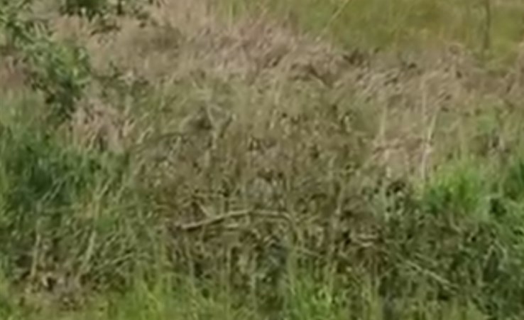 działka na sprzedaż - Świecie