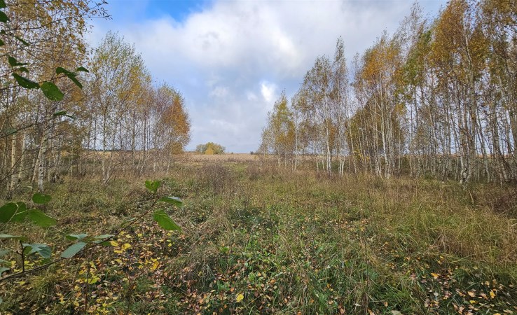 działka na sprzedaż - Koronowo (gw), Łąsko Małe