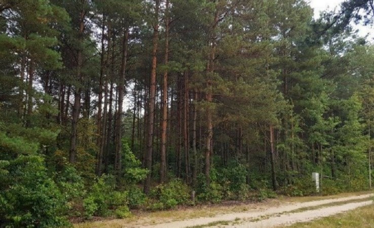 działka na sprzedaż - Bydgoszcz, Opławiec