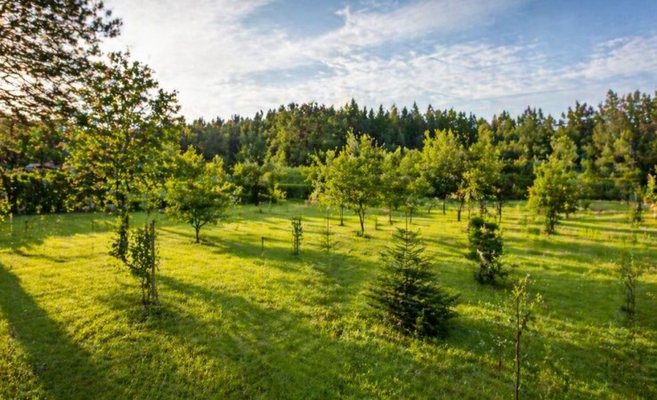 działka na sprzedaż - Koronowo, Pieczyska