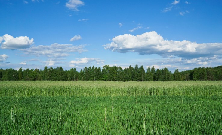 działka na sprzedaż - Szubin (gw), Rynarzewo
