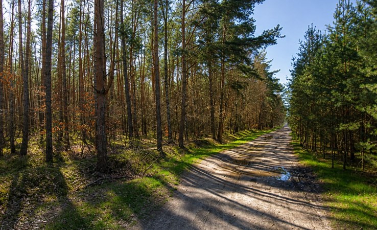 działka na sprzedaż - Białe Błota, Łochowo